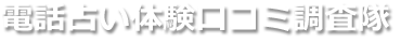 電話占い体験口コミ調査隊