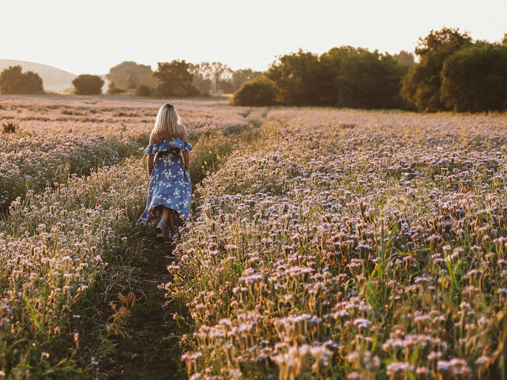 電話占い体験エピソード投稿